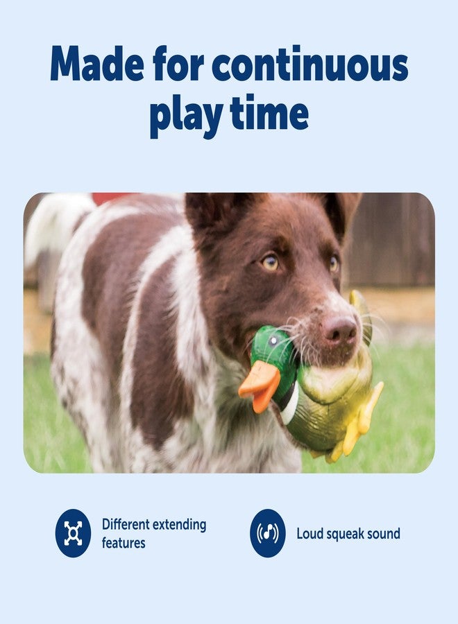 بيت سيف لعبة PetSafe Busy Buddy Latex Squeeze Meeze Raccoon، لعبة ضغط ممتعة للكلاب مع صفارة - بطة - Image 4